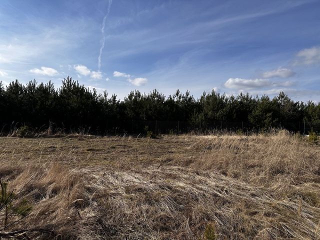 Działka rolno-budowlana Sokolniki, ul. Lawendowa. Zdjęcie 1