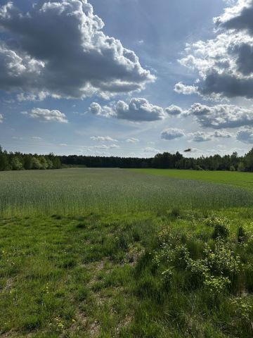 Działka rolna Piaseczno. Zdjęcie 1