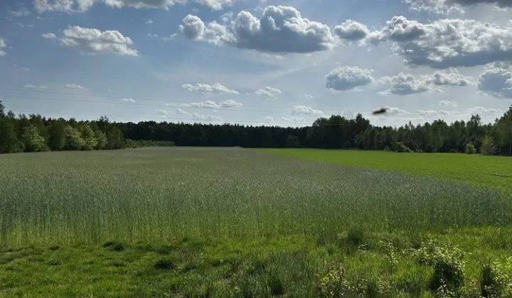 Działka rolna Piaseczno