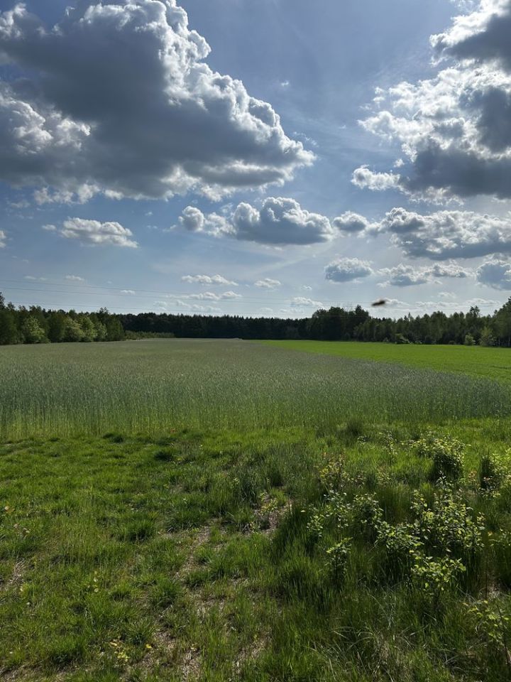 Działka rolna Piaseczno. Zdjęcie 1