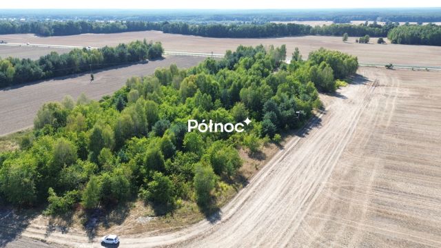 Działka inwestycyjna Dąbrowa Bolesławiecka. Zdjęcie 16