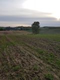 Działka rolno-budowlana Dobrogoszczyce, brak. Zdjęcie 1
