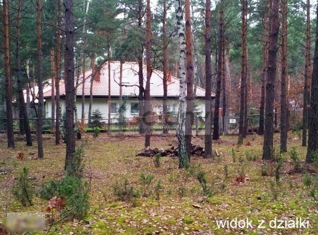 Działka leśna Warszawa Wawer. Zdjęcie 2