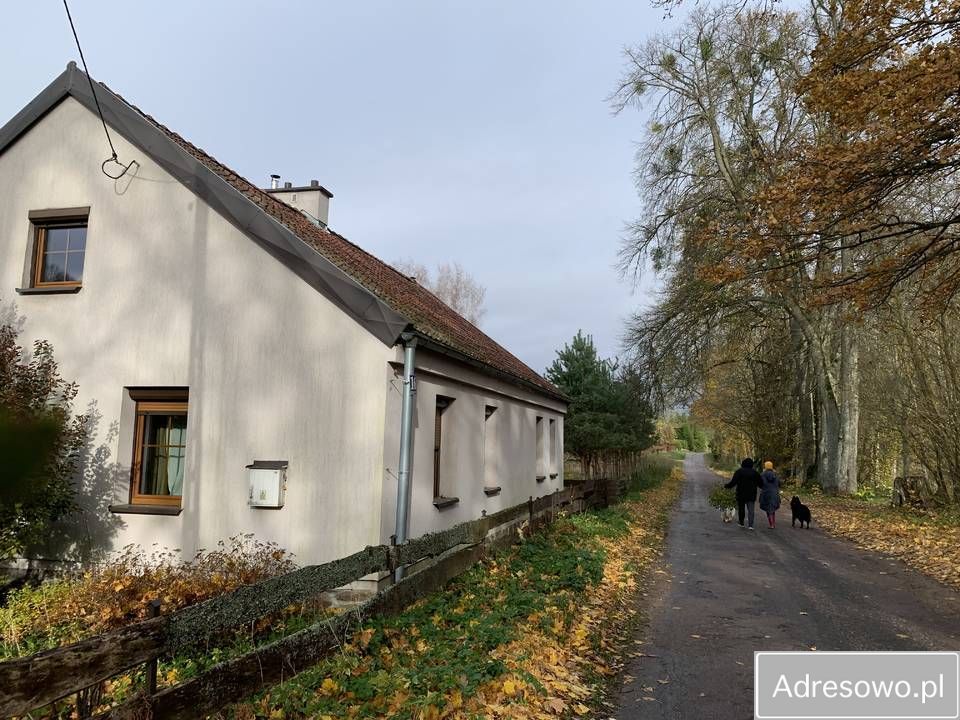 siedlisko, 5 pokoi Rogojny. Zdjęcie 4