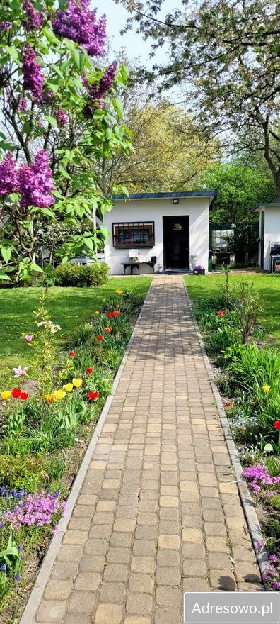 Działka rod Katowice Bogucice, ul. Na Obrzeżu. Zdjęcie 5