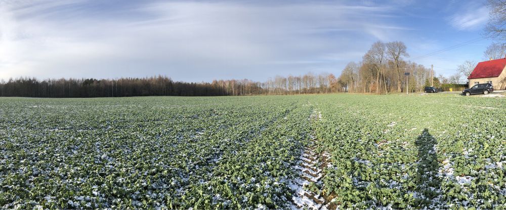 Działka rolna Pobłocie Małe. Zdjęcie 2