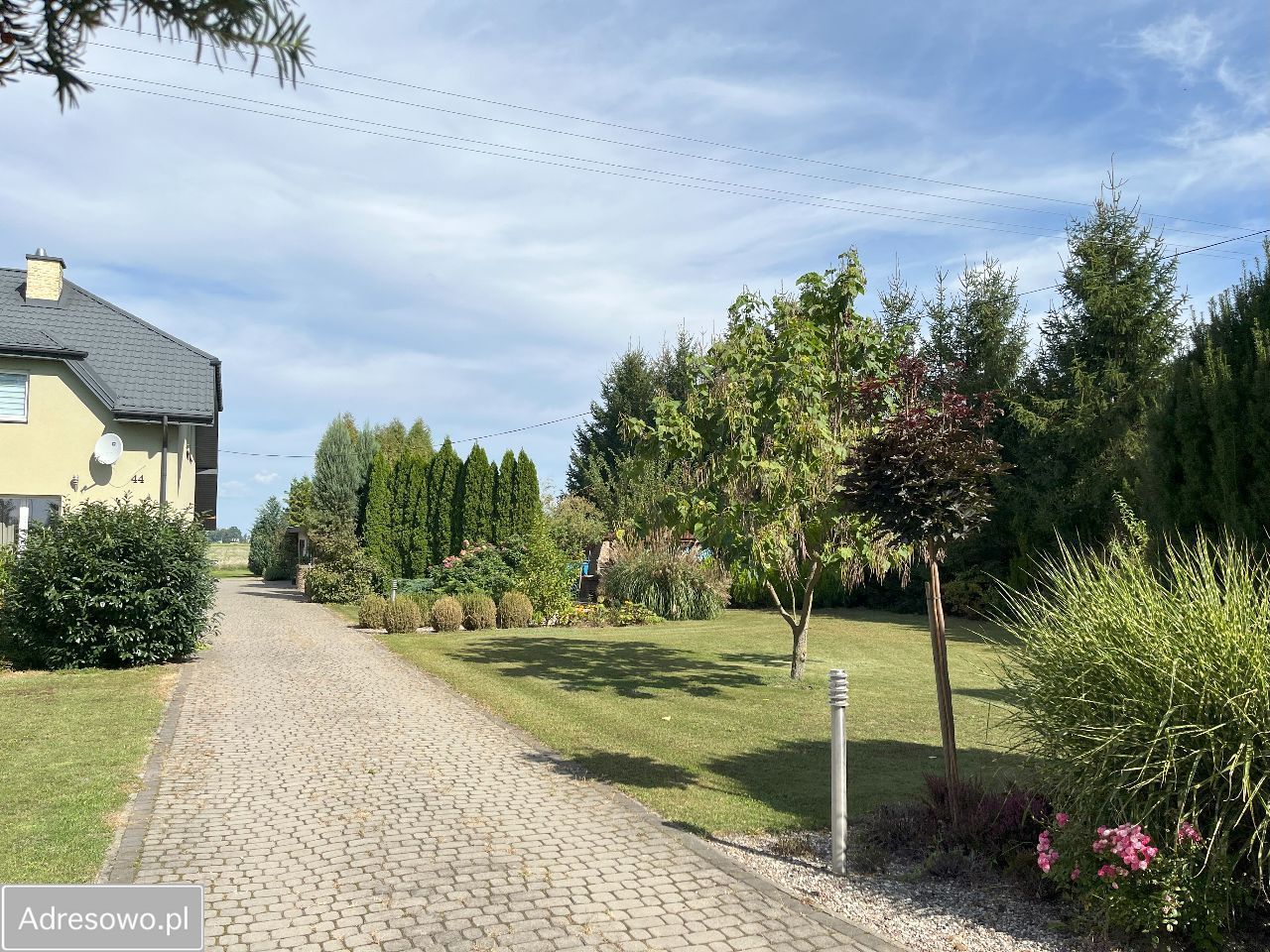 siedlisko, 6 pokoi Strzyżew Strzyżew-Parcela. Zdjęcie 2