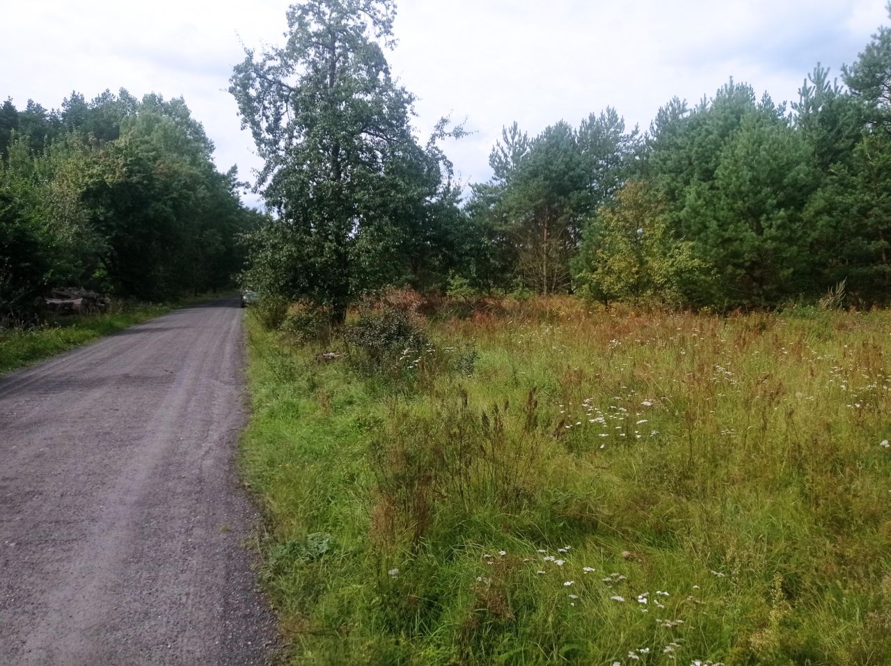 Działka inwestycyjna Klempicz. Zdjęcie 2