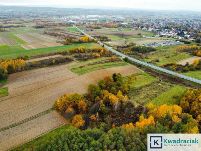 Działka rekreacyjna Warzyce. Zdjęcie 3