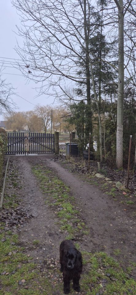 dom wolnostojący, 4 pokoje Michalin. Zdjęcie 14