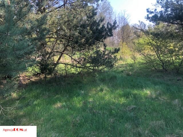 Działka budowlana Marynin. Zdjęcie 6