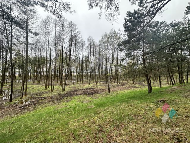 Działka budowlana Tałty. Zdjęcie 9