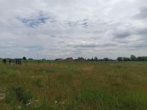 Działka inna Krężna kolonia. Zdjęcie 2