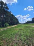 Działka budowlana Kurzelów Laski, ul. Laski. Zdjęcie 2
