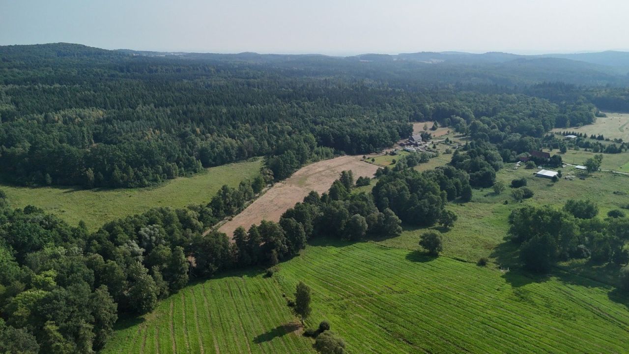 Działka siedliskowa Nowa Wieś Wielka. Zdjęcie 6