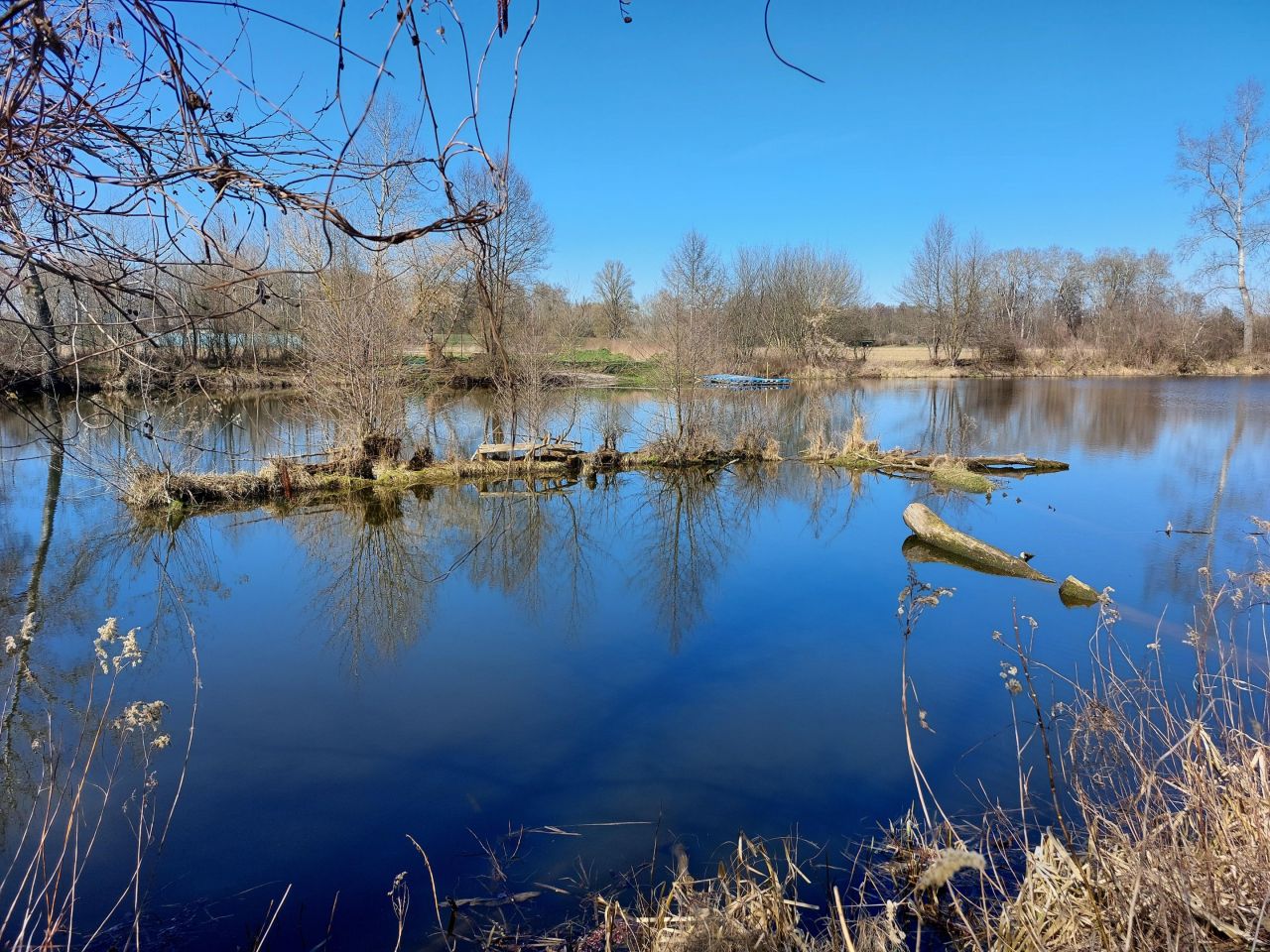 Działka budowlana Secymin Polski. Zdjęcie 6