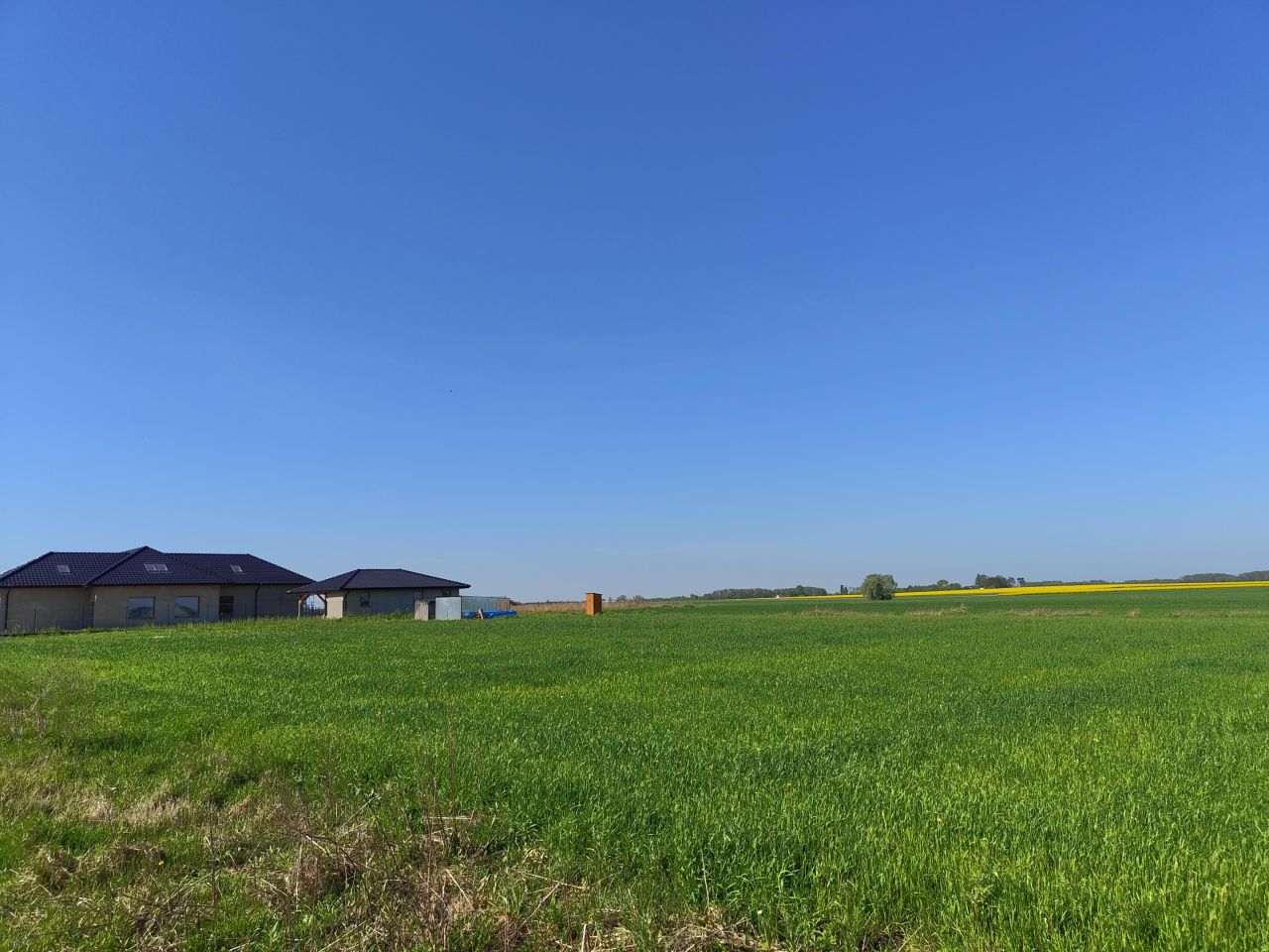 Działka siedliskowa Szerominek. Zdjęcie 4