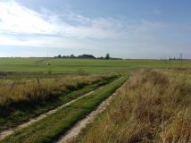 Działka rolna Pilec. Zdjęcie 3