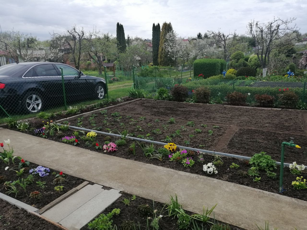 Działka rod Kołobrzeg, ul. Bolesława Krzywoustego. Zdjęcie 15