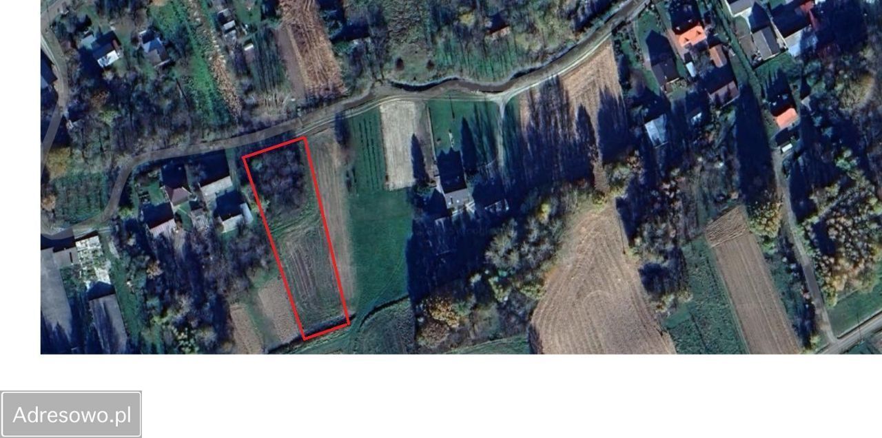 Działka budowlana Rzeplin. Zdjęcie 2