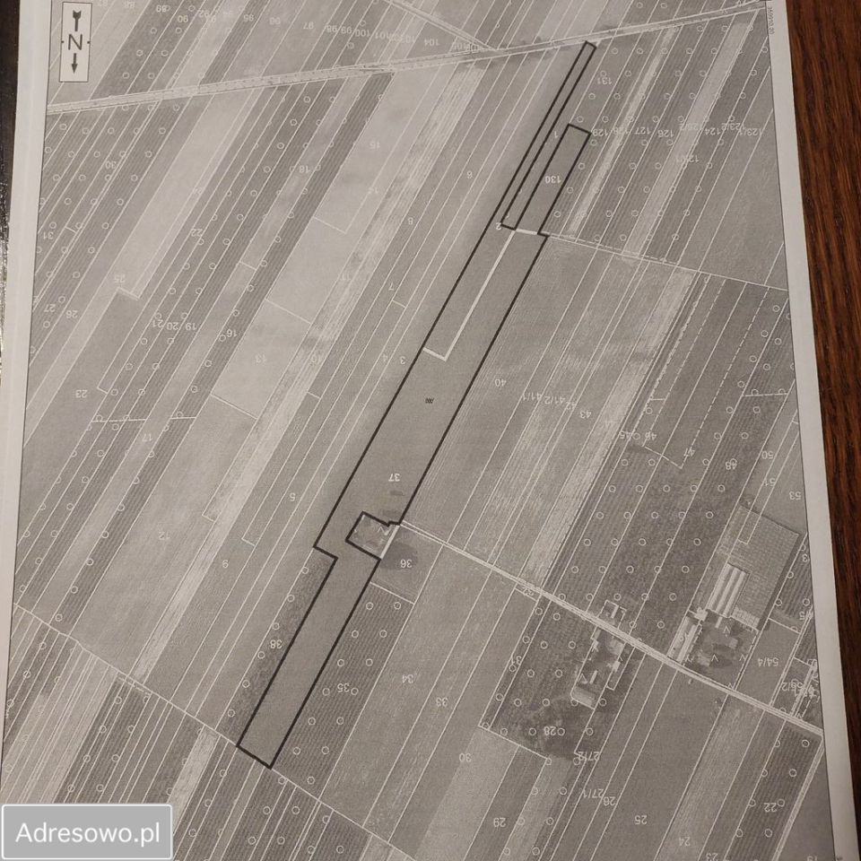 Działka siedliskowa Praga Górna. Zdjęcie 3