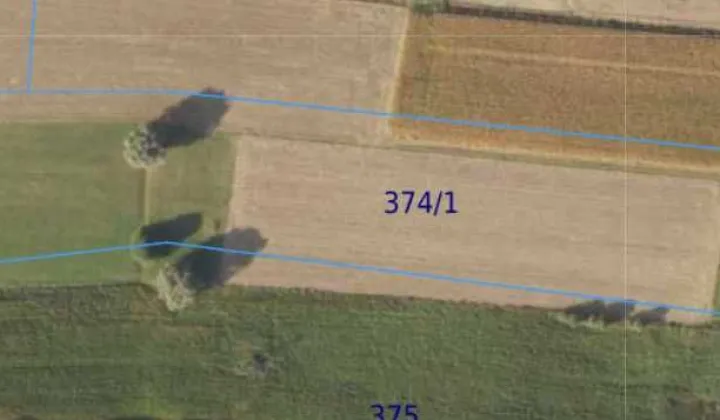 Działka rolna Wielki Wełcz