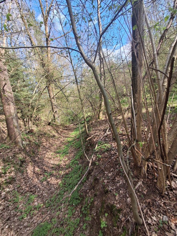 Działka leśna Lipnica Dolna, BRAK. Zdjęcie 15