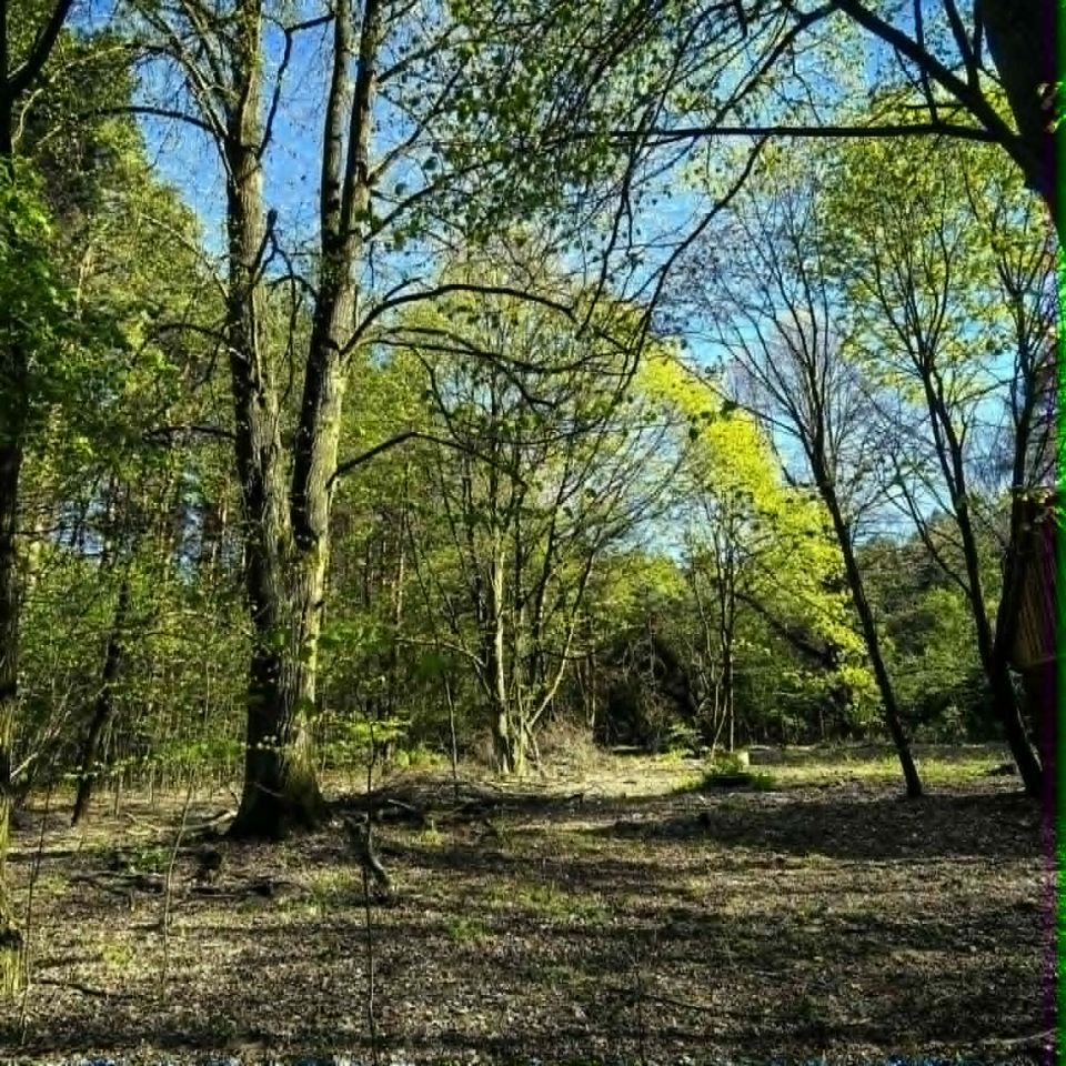 Działka budowlana Klizin. Zdjęcie 3