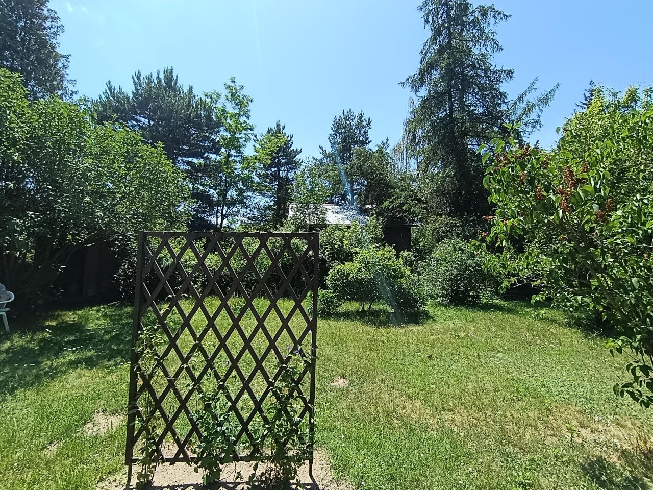 Działka rod Piotrkowice, ul. Tarczyńska. Zdjęcie 34