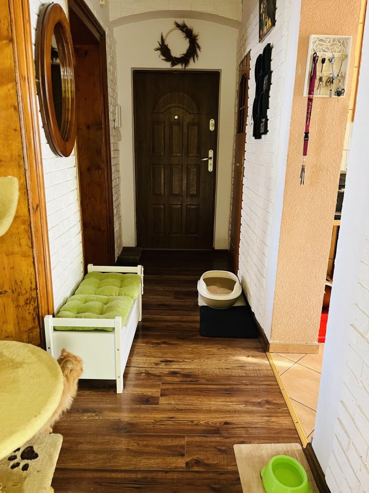 Mieszkanie 3-pokojowe Legnica Centrum, ul. Senatorska. Zdjęcie 4