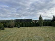 Działka rekreacyjna Krasne. Zdjęcie 4