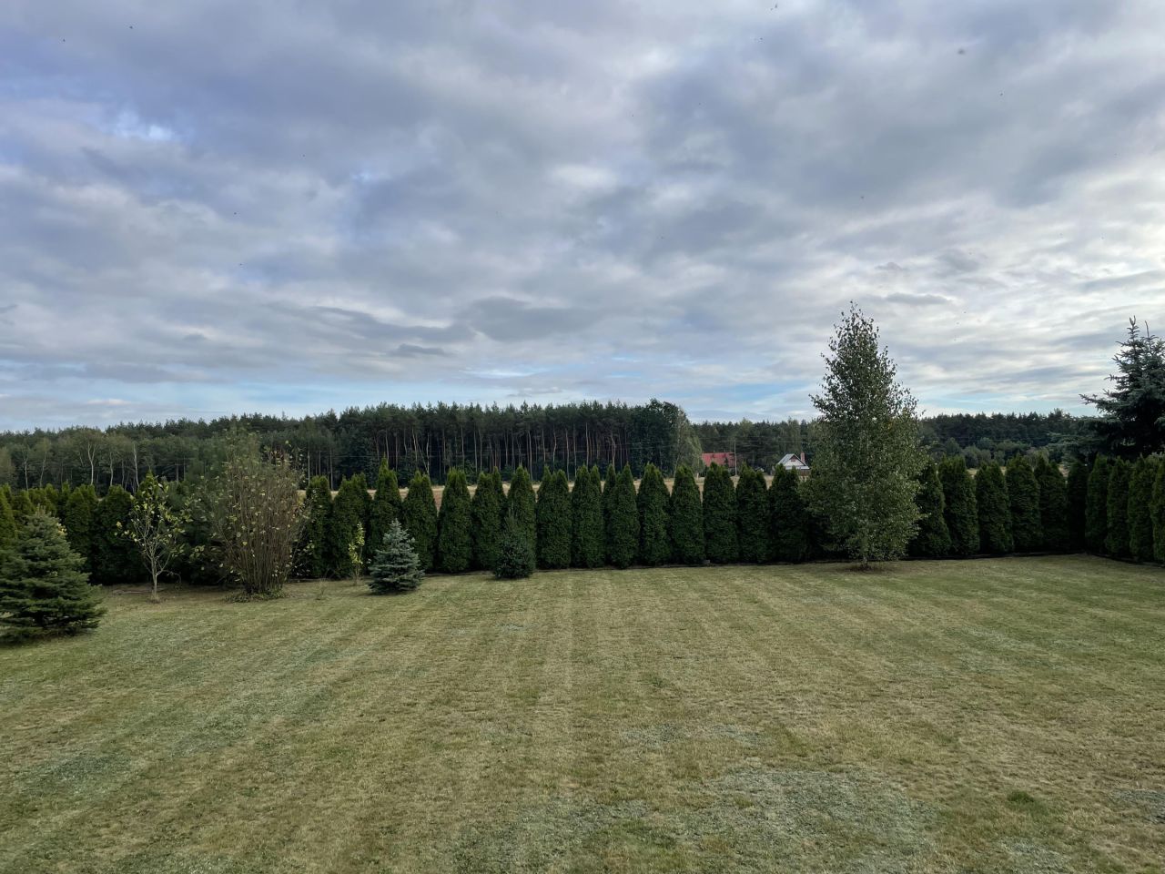 Działka rekreacyjna Krasne. Zdjęcie 5