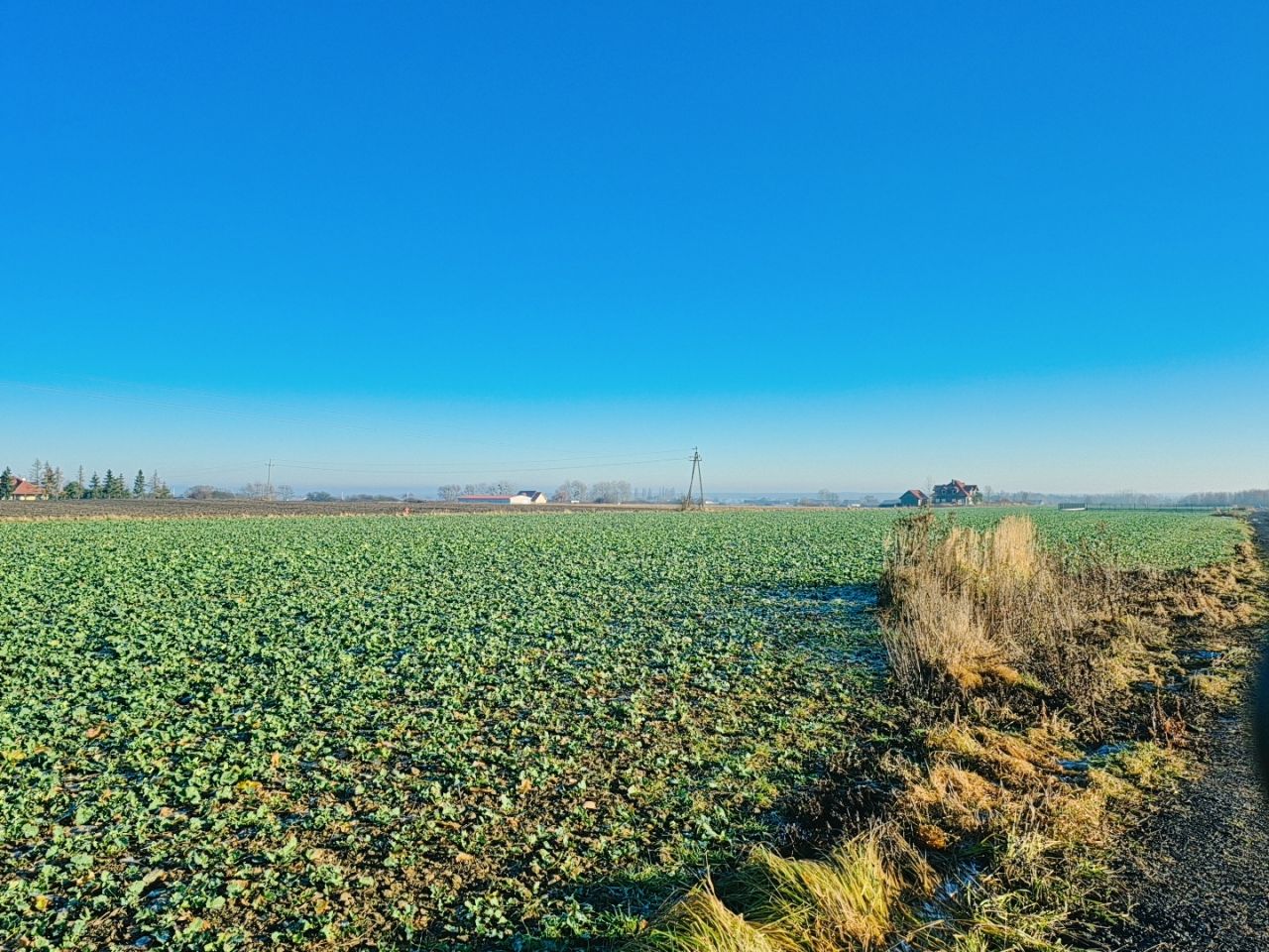Działka budowlana Brzezina, ul. Lawendowa