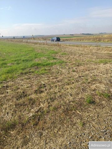 Działka budowlana Piotrówek. Zdjęcie 1