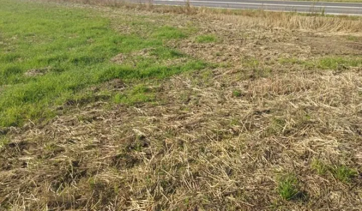 Działka budowlana Piotrówek