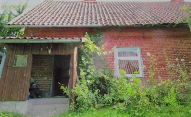 Działka siedliskowa Wojnity. Zdjęcie 1