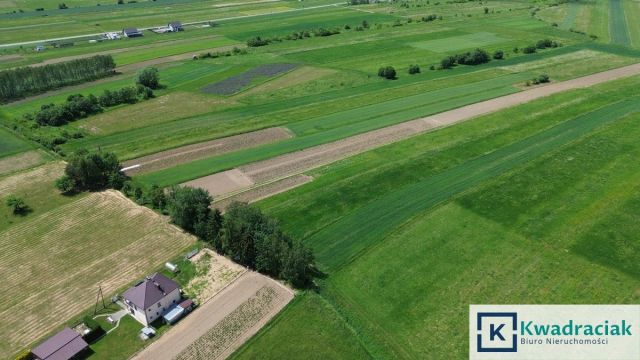 Działka inwestycyjna Kłodawa. Zdjęcie 11