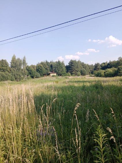 Działka budowlana Boluminek. Zdjęcie 2