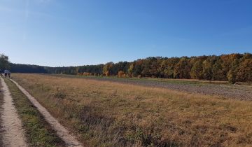 Działka rolna Warszawa Ursynów, ul. Muchomora