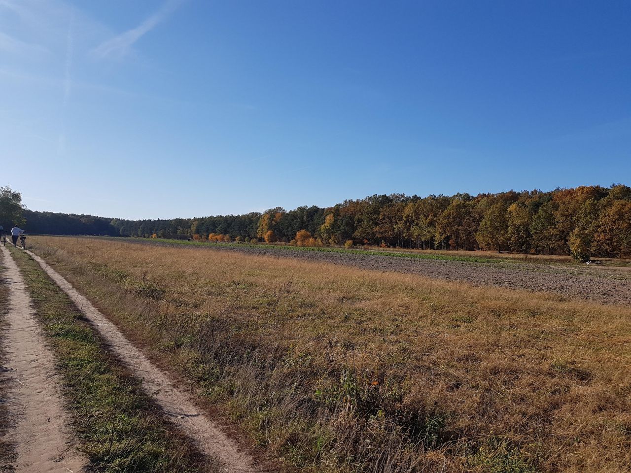 Działka rolna Warszawa Ursynów, ul. Muchomora. Zdjęcie 2
