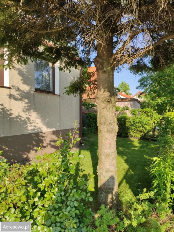 dom wolnostojący, 5 pokoi Mikołajki, ul. Michała Kajki. Zdjęcie 6