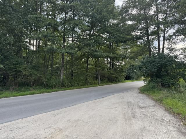 Działka rolno-budowlana Zagościniec. Zdjęcie 1