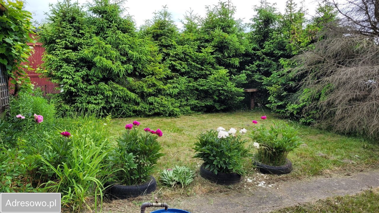 Działka rod Gdańsk Rębiechowo, ul. Nowatorów. Zdjęcie 5