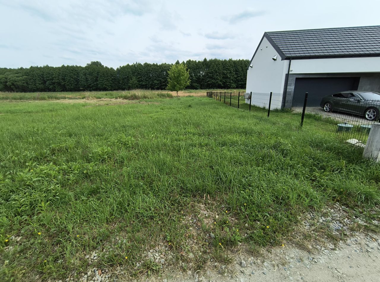 Działka budowlana Borowa, ul. Klonowa. Zdjęcie 7