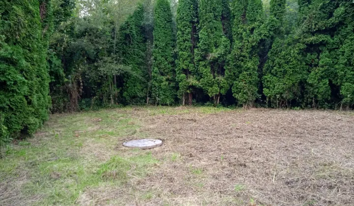 Działka rekreacyjna Pierzchów
