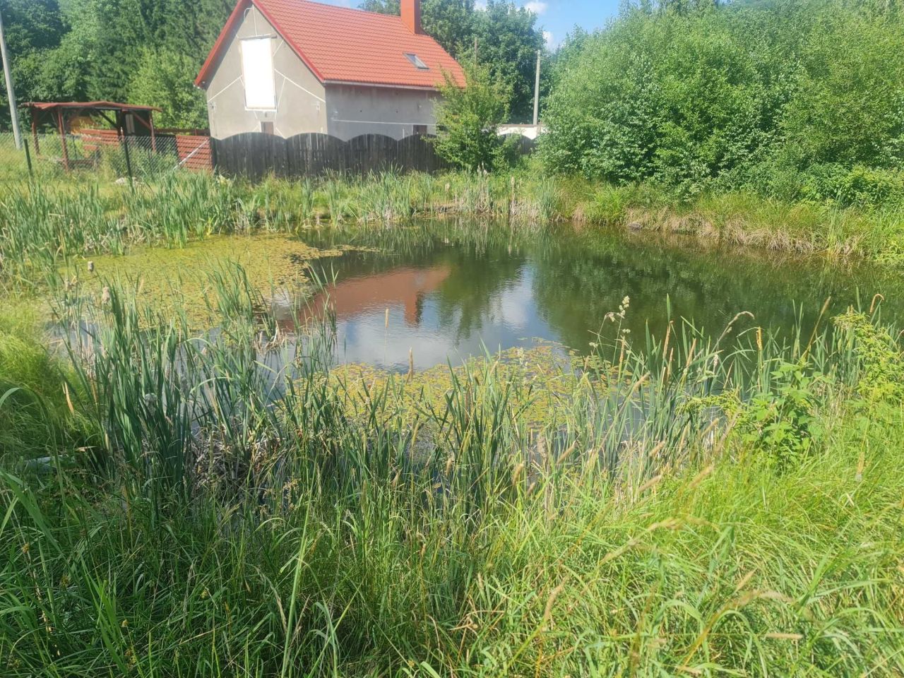 dom wolnostojący, 5 pokoi Błażkowa. Zdjęcie 2