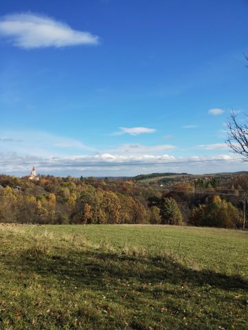 Działka rolna Dylągowa Skotnik. Zdjęcie 1