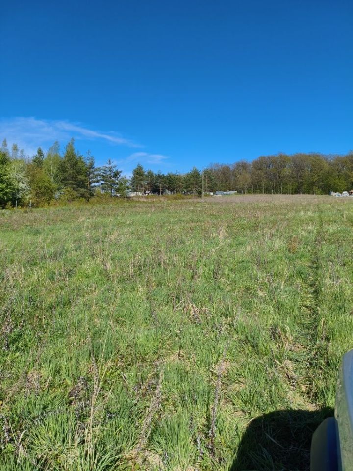 Działka budowlana Morzęcin Wielki. Zdjęcie 5