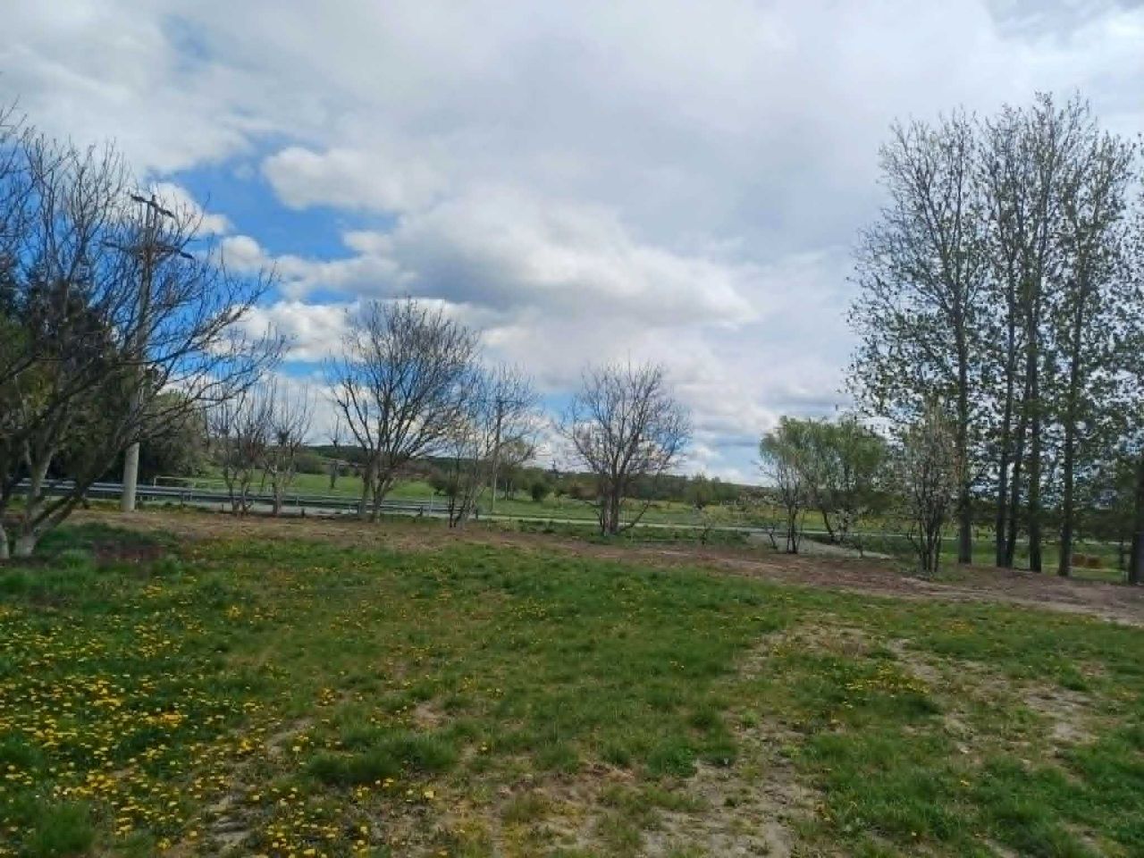 Działka rolno-budowlana Cząstkowice. Zdjęcie 4