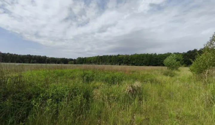 Działka budowlana Nieborowice
